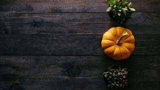 autumn inspo 2