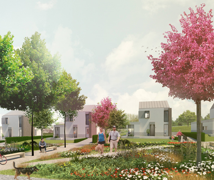Chard Housing
